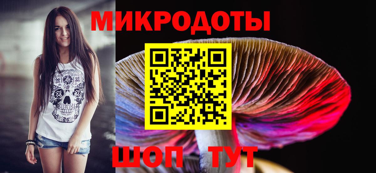 Галлюциногенные грибы Cubensis Выборг