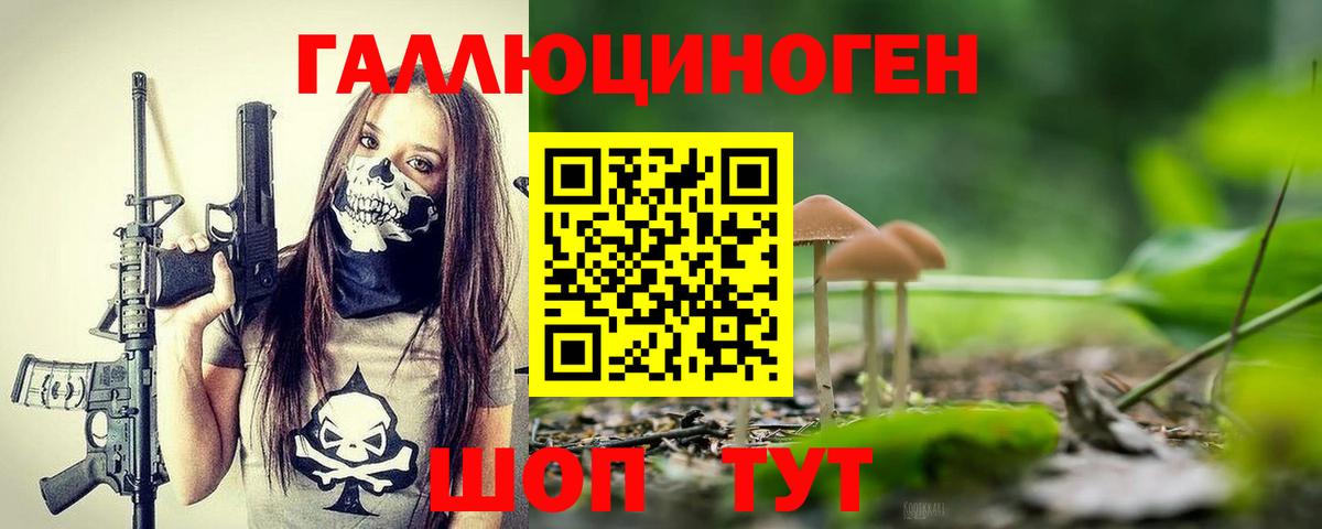 Выборг  Псилоцибиновые грибы Psilocybe  где найти наркотики  Псилоцибиновые грибы MAGIC MUSHROOMS  Вход с VPN 